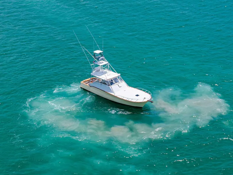 Slide: The Image of 1999 Buddy Davis 52 Express 'Miss Josie' - 5280049