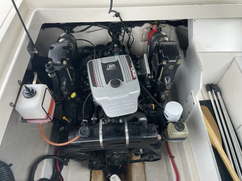 Slide: The Image of Sea Ray 26 2009 - 5283848