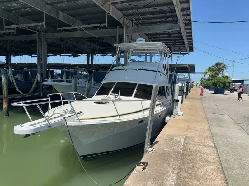 Slide: The Image of Bertram 38 Convertible 1981 - 5284878