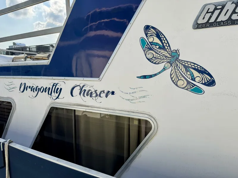 Slide: The Image of Gibson 14 x 50 Standard 1987 - 5285402