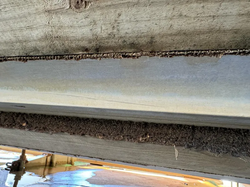 Slide: The Image of Chaparral Signature 27 Cabin Cruiser 1994 - 5285549