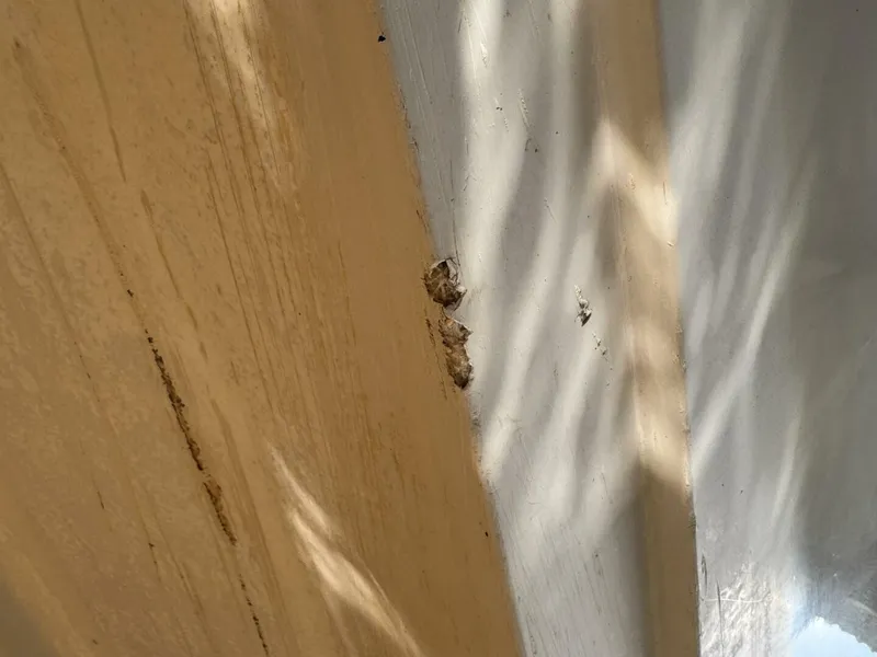 Slide: The Image of Chaparral Signature 27 Cabin Cruiser 1994 - 5285606