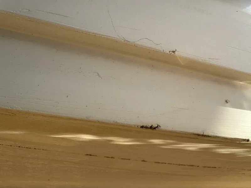 Slide: The Image of Chaparral Signature 27 Cabin Cruiser 1994 - 5285637