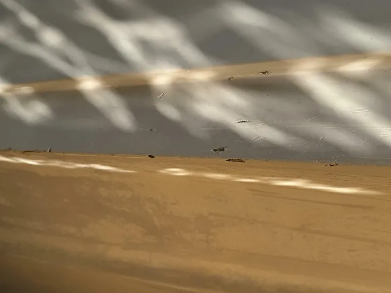 Slide: The Image of Chaparral Signature 27 Cabin Cruiser 1994 - 5285639