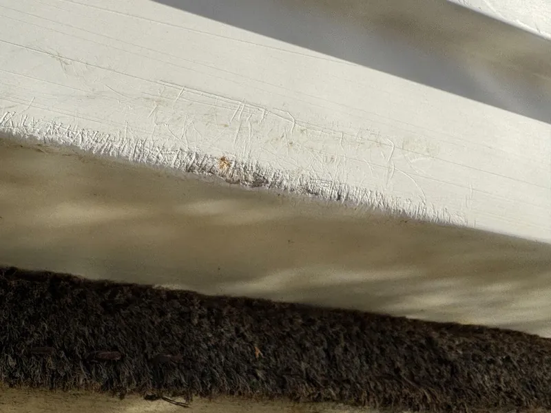 Slide: The Image of Chaparral Signature 27 Cabin Cruiser 1994 - 5285647