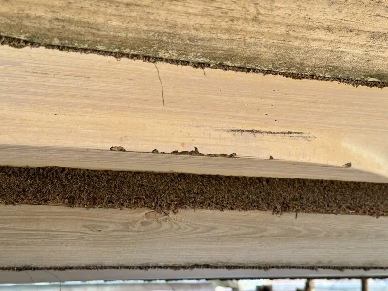 Slide: The Image of Chaparral Signature 27 Cabin Cruiser 1994 - 5285651