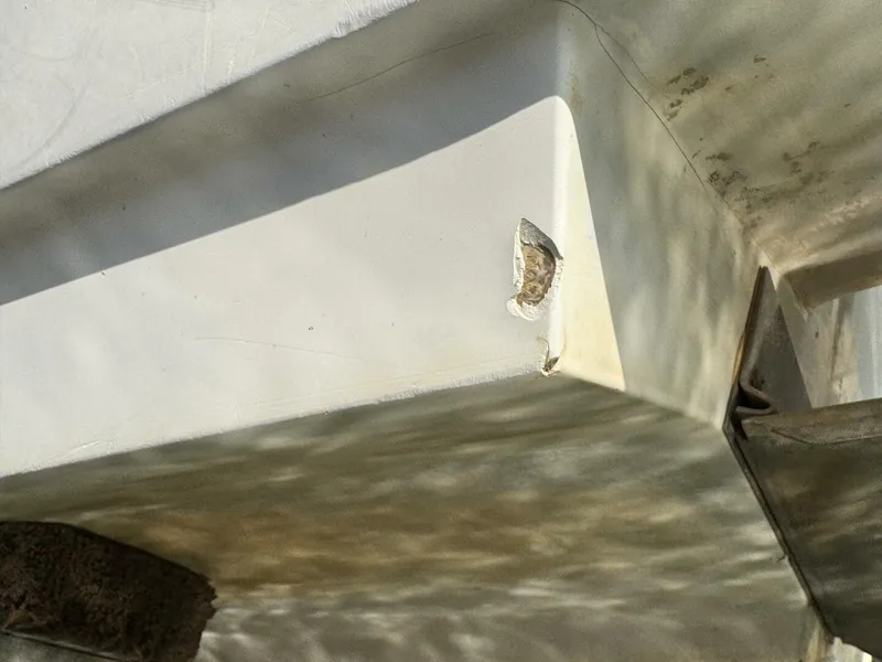 Slide: The Image of Chaparral Signature 27 Cabin Cruiser 1994 - 5285657