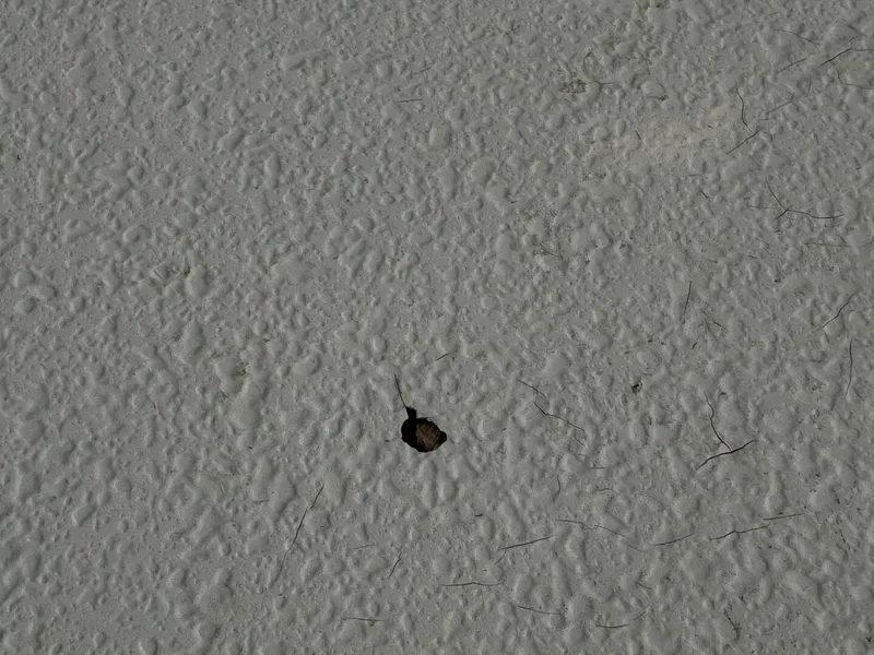 Slide: The Image of Chaparral Signature 27 Cabin Cruiser 1994 - 5285506