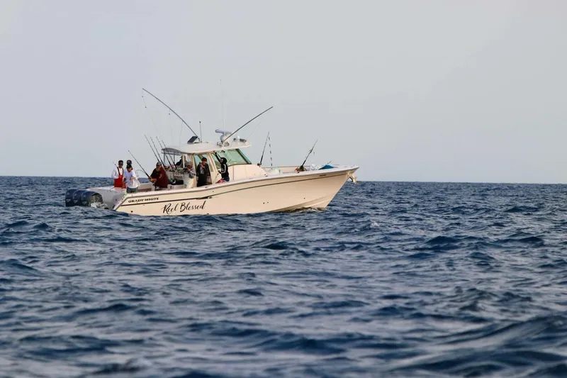 Slide: The Image of Grady-White Canyon 376 2014 - 5286862