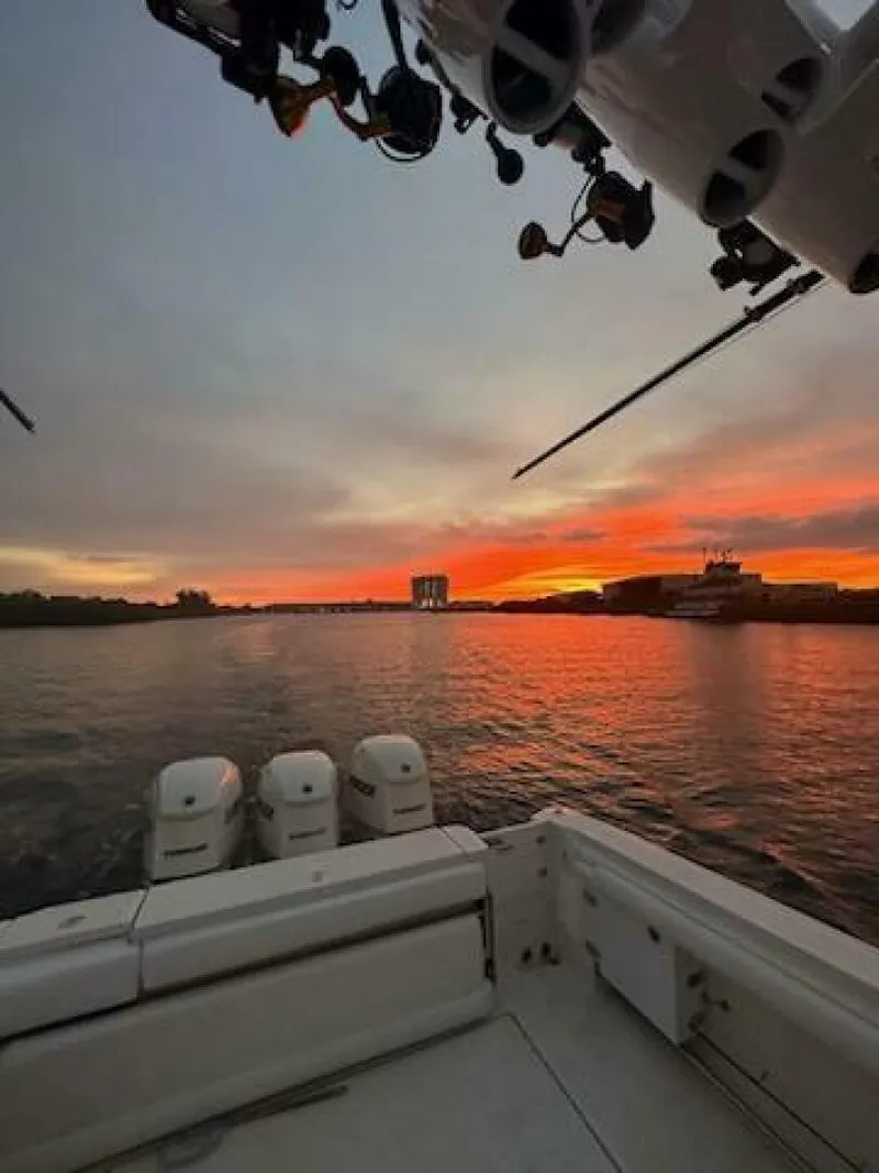 Slide: The Image of Hydra-Sports 3300VX Vector Express 2007 - 5286983