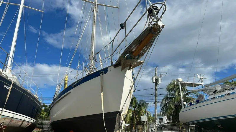 Slide: The Image of Cape George Cape George 36 1985 - 5305841