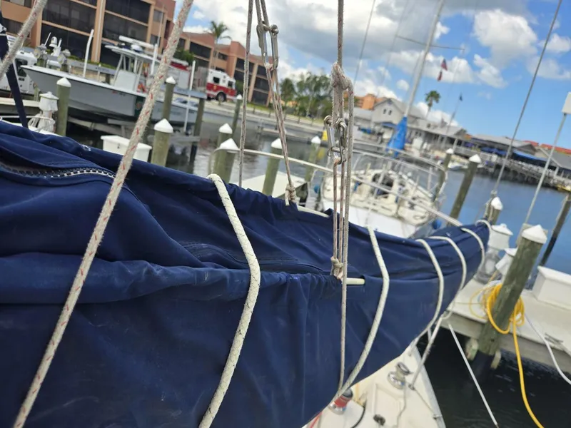 Slide: The Image of Hake / Seaward 32 2011 - 5292359