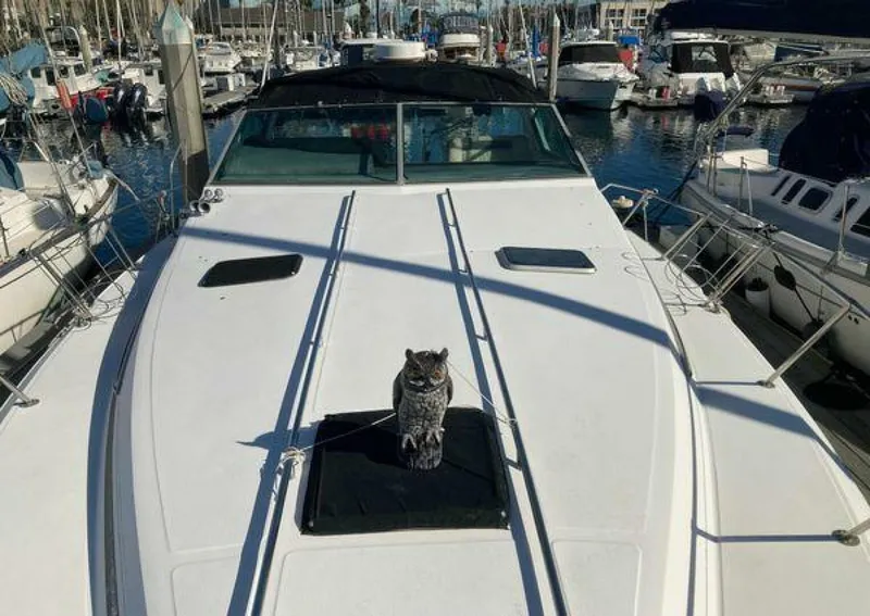 Slide: The Image of Sea Ray 390 Express Cruiser 1988 - 5296248