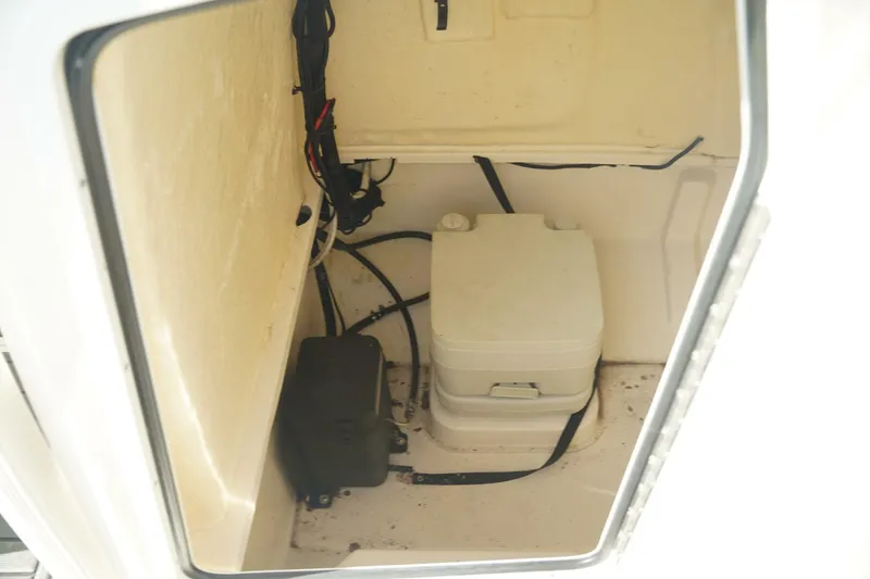 Slide: The Image of Trophy T22CX 2024 - 5554817