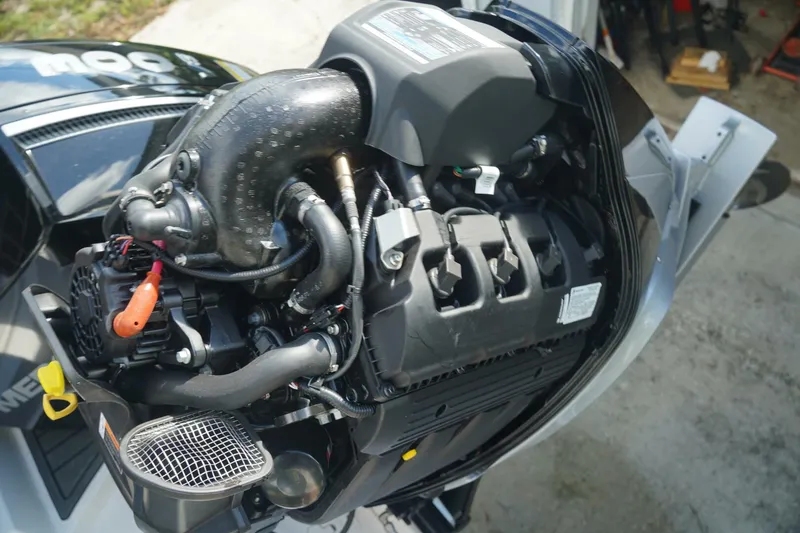 Slide: The Image of Trophy T22CX 2024 - 5554784