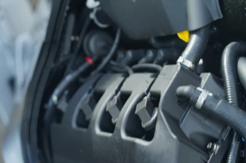 Slide: The Image of Trophy T22CX 2024 - 5554788