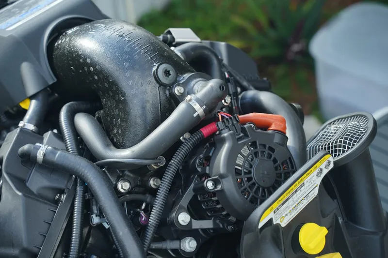 Slide: The Image of Trophy T22CX 2024 - 5554789