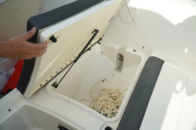 Slide: The Image of Trophy T22CX 2024 - 5554801