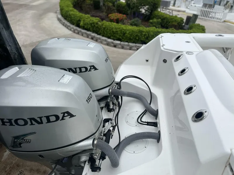 Slide: The Image of Everglades 240CC 2007 - 5298488