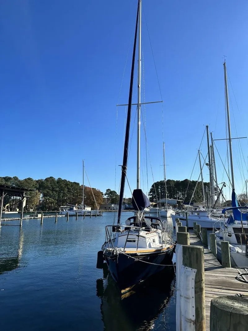 Slide: The Image of Morris Morris 28 1990 - 5301910