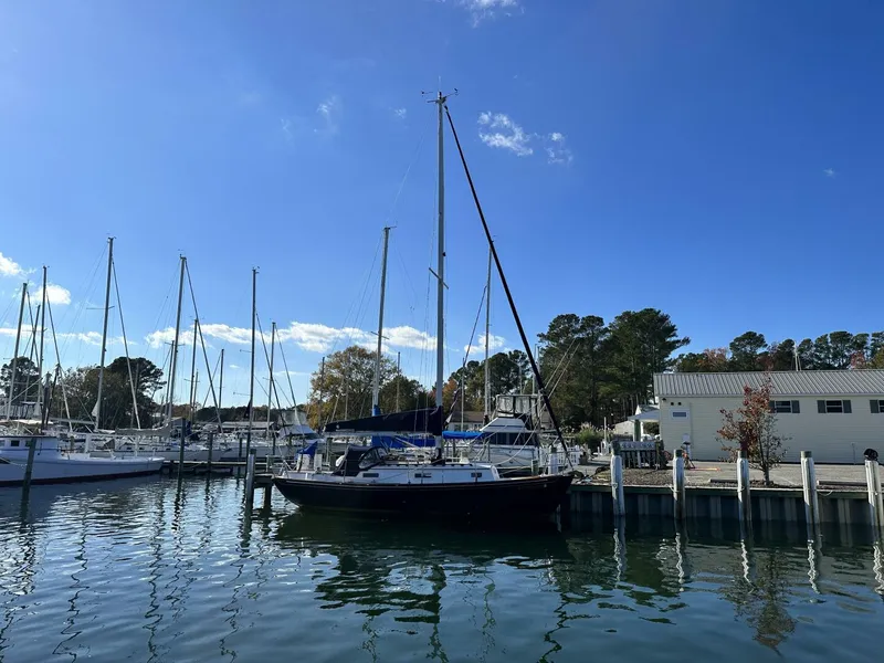 Slide: The Image of Morris Morris 28 1990 - 5301917