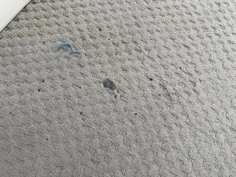 Slide: The Image of Bennington 257L Pontoon Boat 2002 - 5302185