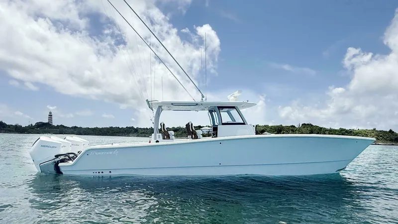 Slide: The Image of Freeman 38 2027 - 5498004