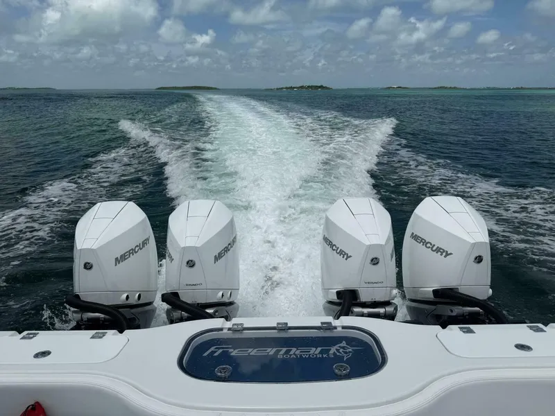 Slide: The Image of Freeman 38 2027 - 5498027