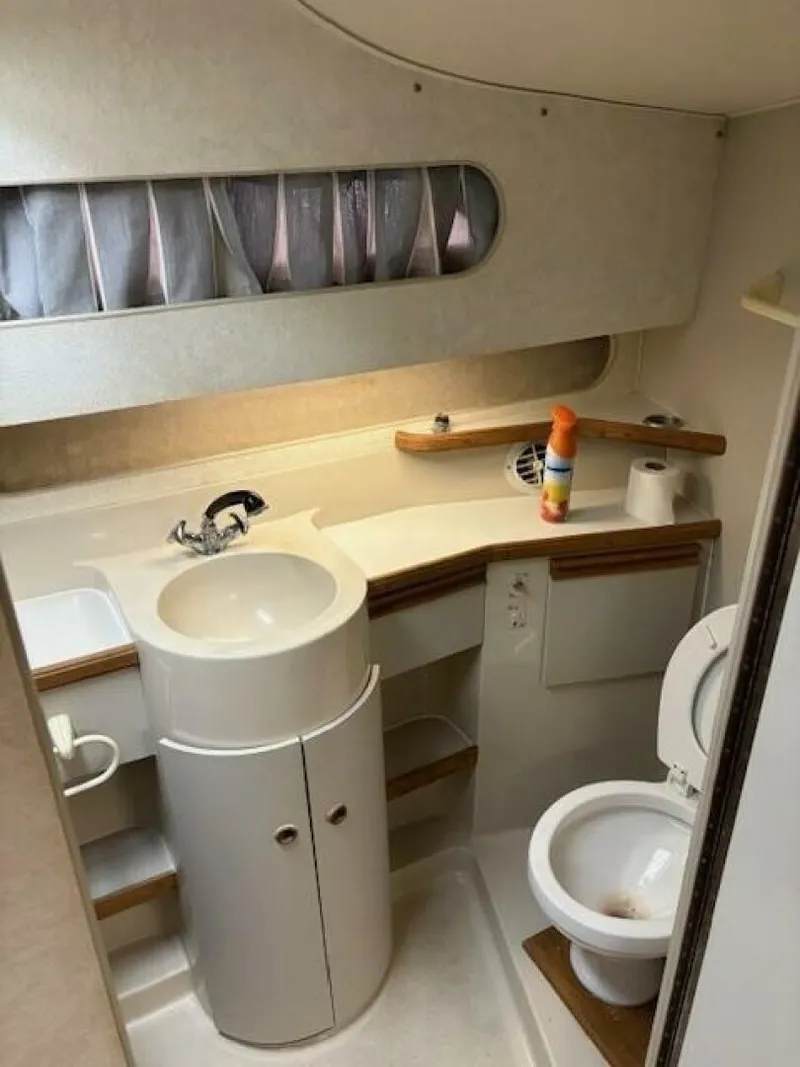 Slide: The Image of Full Head - 5306496