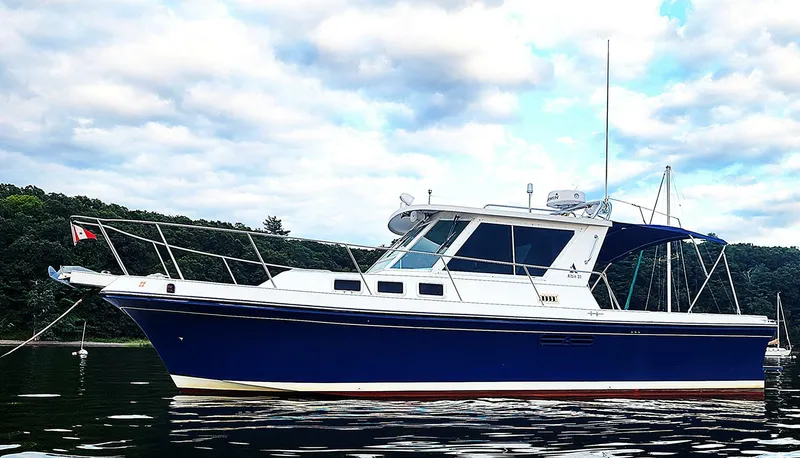 The Image of Albin 31 1998 - 5306715