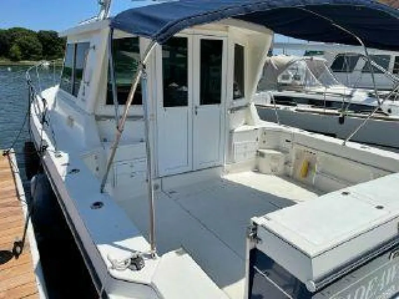 Slide: The Image of Albin 31 1998 - 5306719