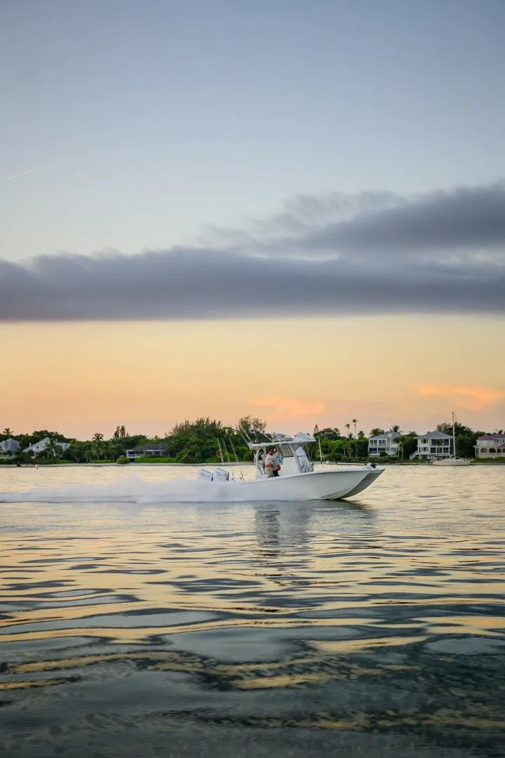 Slide: The Image of Costa Custom 264 hc 2026 - 5306965