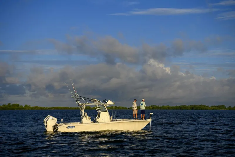 Slide: The Image of Costa Custom 264 hc 2026 - 5306968