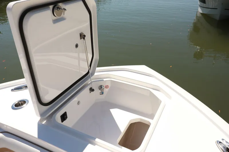 Slide: The Image of Regulator Marine 35cc 2025 - 5307138