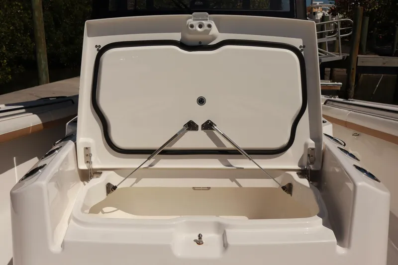 Slide: The Image of Regulator Marine 35cc 2025 - 5307151