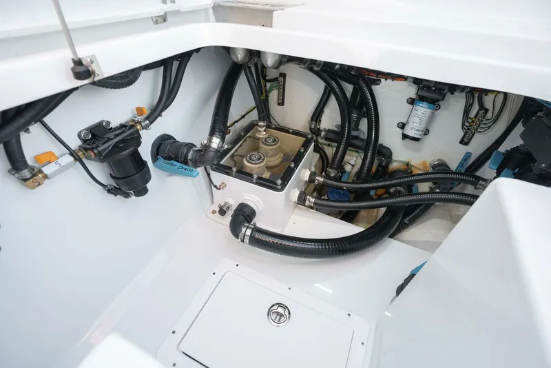 Slide: The Image of Costa Custom 34sv 2026 - 5601573