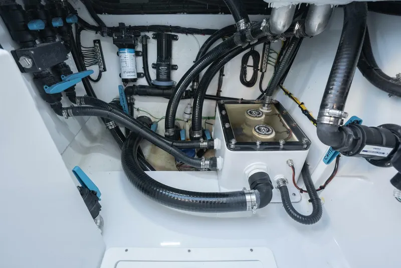 Slide: The Image of Costa Custom 34sv 2026 - 5601582