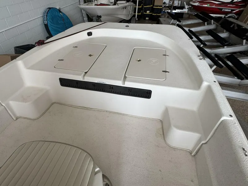 Slide: The Image of Carolina DLX 2017 - 5308878