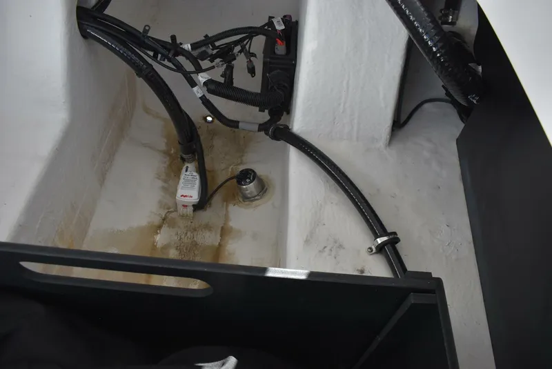 Slide: The Image of Monterey 25 2023 - 5315747