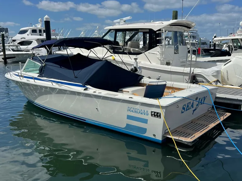 The Image of Bertram 26 Express Moppie 1984 - 5320702