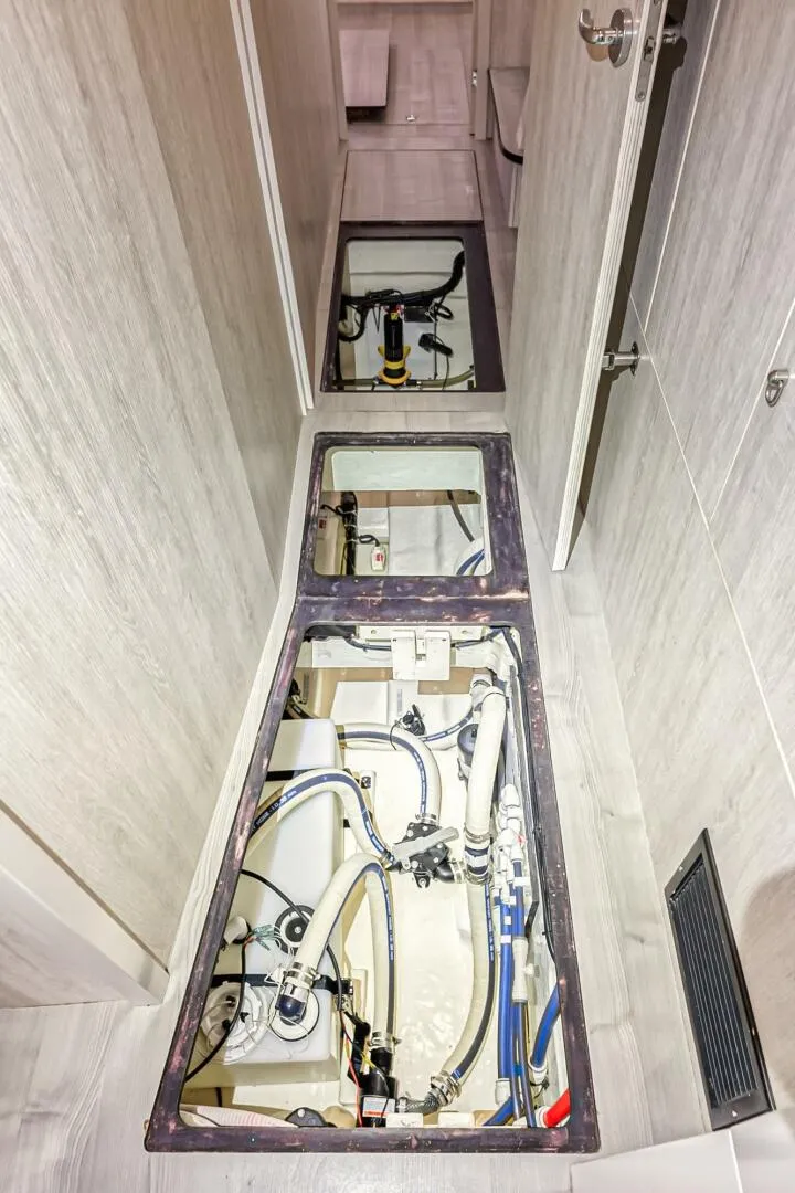 Slide: The Image of Leopard 58 2016 - 5324598