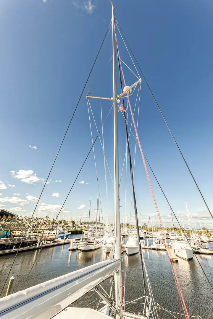 Slide: The Image of Leopard 58 2016 - 5324521