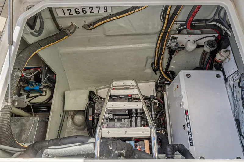 Slide: The Image of Leopard 58 2016 - 5324528