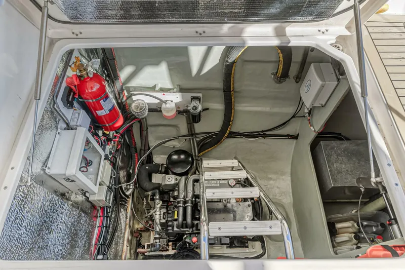 Slide: The Image of Leopard 58 2016 - 5324529