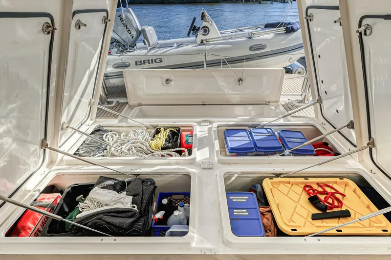 Slide: The Image of Leopard 58 2016 - 5324530