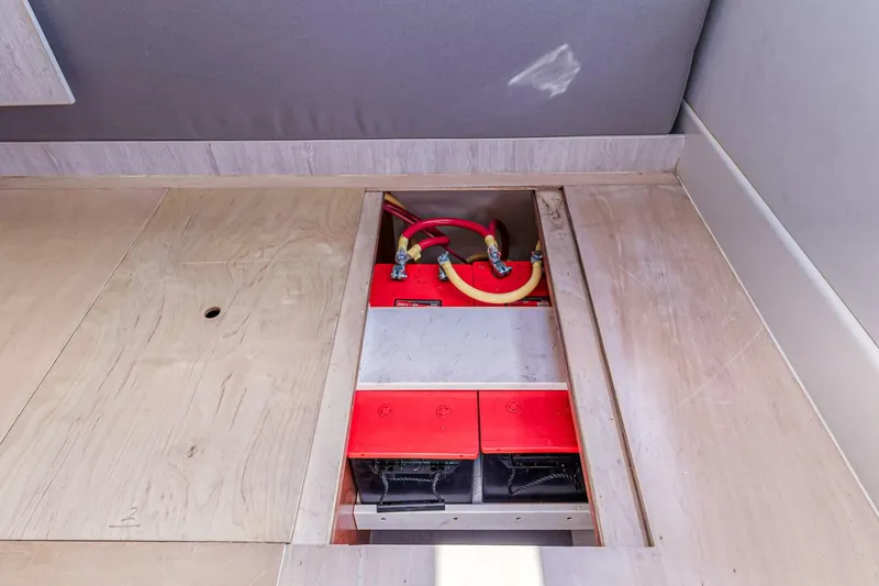 Slide: The Image of Leopard 58 2016 - 5324437