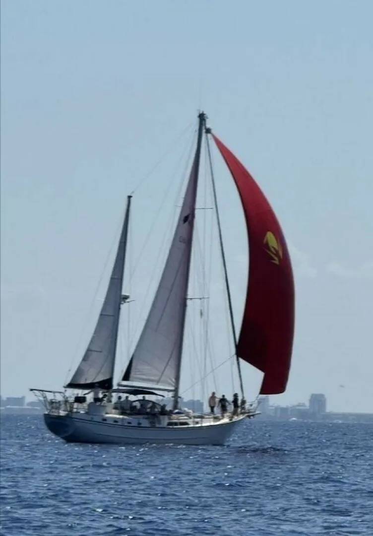 The Image of Nautical Development 56 1985 - 5324434