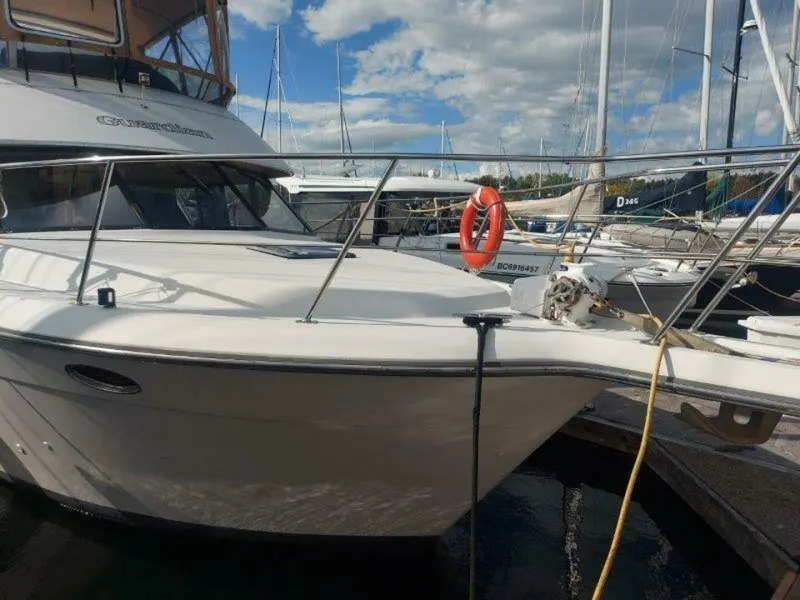 Slide: The Image of Carver 39 1993 - 5325291