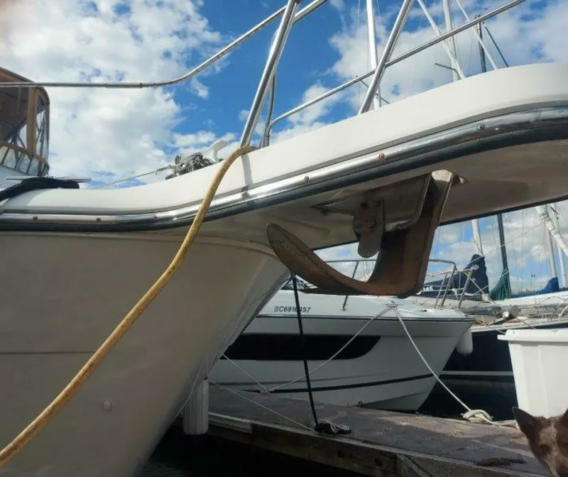 Slide: The Image of Carver 39 1993 - 5325295