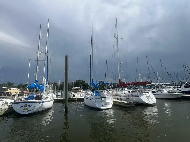 Slide: The Image of Hunter 33.5 Transom - 5335459